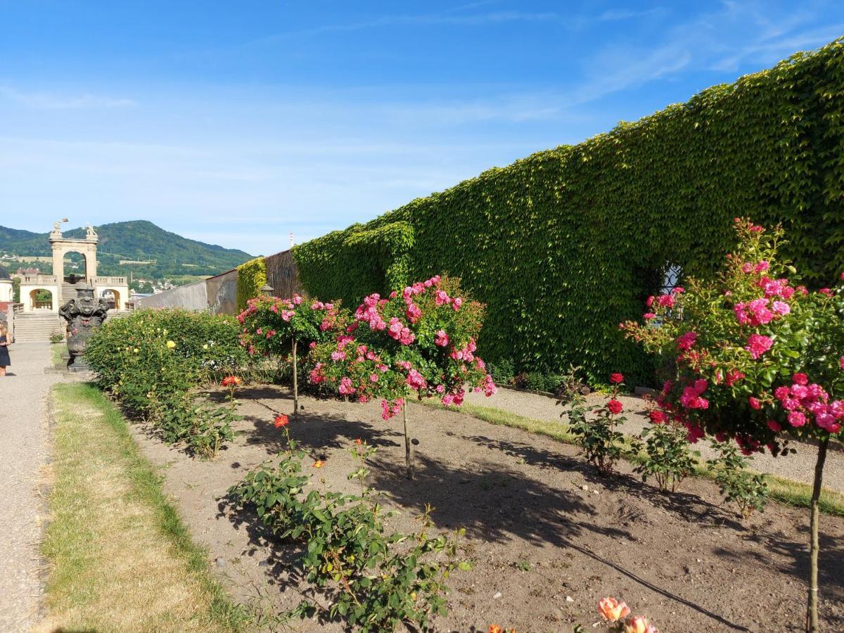 Apartments Rose Garden 데친 외부 사진